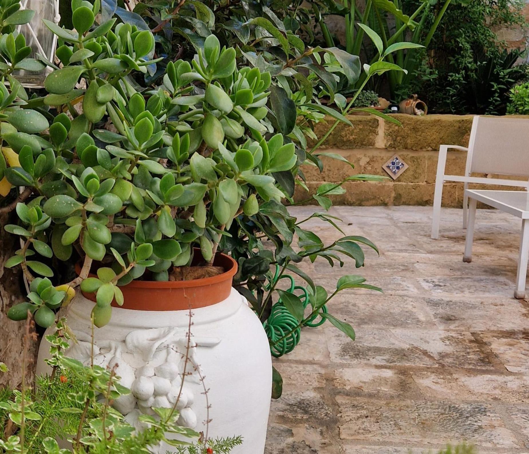 Xenia Boutique Apartment Trepuzzi Екстериор снимка